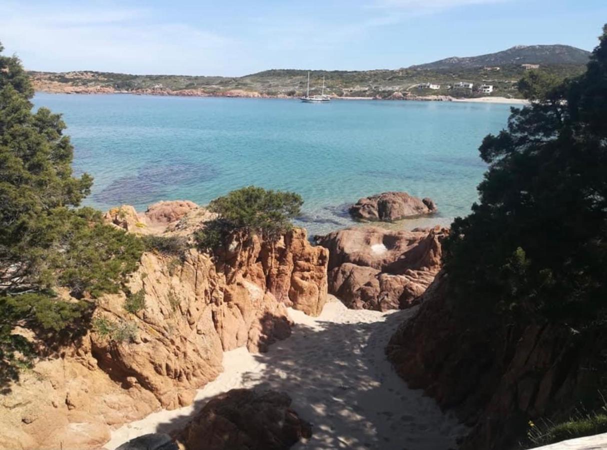 Appartamenti In Villa La Marinedda Isola Rossa Exteriör bild