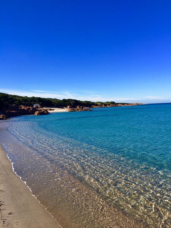 Appartamenti In Villa La Marinedda Isola Rossa Exteriör bild