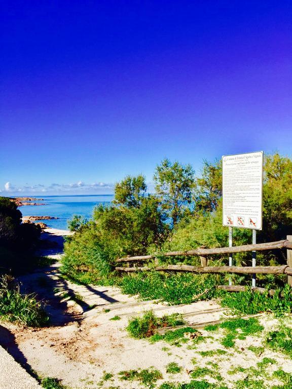 Appartamenti In Villa La Marinedda Isola Rossa Exteriör bild