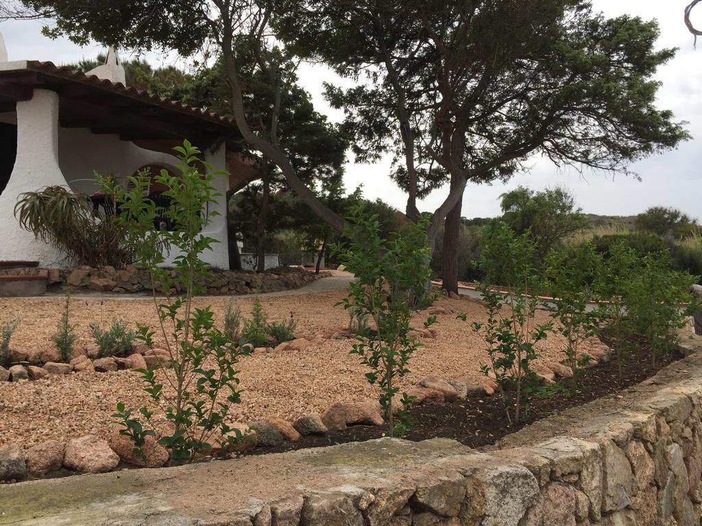Appartamenti In Villa La Marinedda Isola Rossa Exteriör bild